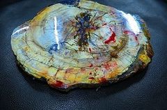 【新品】    天然石（原石） 天然化石珪化木両面研磨10000分の1三畳紀標本鉱物原石銘石インテリアオブジェ超巨大3.45kg★340mm 26100983 