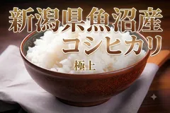 2026年最新】魚沼産コシヒカリの人気アイテム - メルカリ