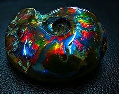 【新品】    天然石（原石） 数万個の中の一個★天然マダガスカル産 ★ 両面オパールアンモナイト 化石標本超巨大45ｇ★65ｍｍ 26100407 