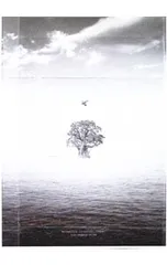 2026年最新】exo birdの人気アイテム - メルカリ