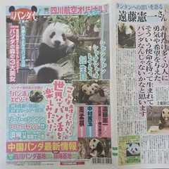 即購入OK！！送料込み！！ 日刊パンダイ2頭目