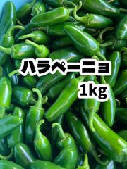 ハラペーニョ　1kg 〜1.2kg＋α