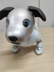 訳あり】SONY aibo ERS-1000 アイボ 未初期化 現状品 - メルカリ