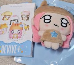 IVE REVIVE+ PETIT-IVE ぬいぐるみ レイ - メルカリ