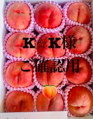 rriiiiiiiisa様専用訳ありマンゴー約5㌔ - メルカリ