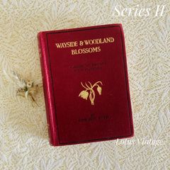 Woods of Windsor Forget-Me-Notセット - メルカリ
