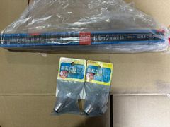 Panasonic パルック FL10ECWF2 10形 クール色 蛍光灯＋ELPA G-33H 40W 回転灯球2個 計3点セット