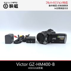 SONY ソニー DCR-VX1000 ハンディカム miniDVビデオカメラ 整備済み