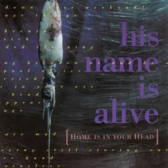 (CD)Home Is in Your Head／His Name Is Alive