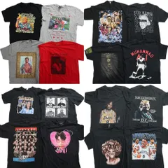 古着卸 まとめ売り 人物 Tシャツ 16枚セット ( メンズ M ) プロチーム NBA レイカーズ WWE アインシュタイン モハメドアリ 中古古着 NG2862