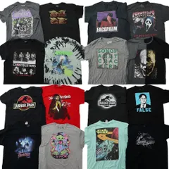 古着卸 まとめ売り 映画・ドラマ Tシャツ 16枚セット ( メンズ XL ) スターウォーズ ホラー ジュラシックパーク IT 中古 古着 NG2896