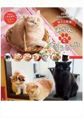 カレンダー　2027　猫　壁掛け　ねこと生活　みかんとじろうさんち　カレンダー 　令和9年　壁掛けカレンダー　お洒落　かわいい　猫カレンダー　ブリティッシュショートヘア