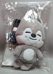 Stray Kids 2026 RUN IT SEOUL Bang Chan Crossbody Bag PLUSH