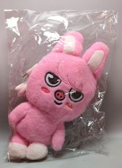 Stray Kids 2026 RUN IT SEOUL Changbin Crossbody Bag PLUSH