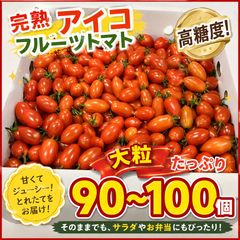 食品 プリマティーノトマト 2kg 岐阜県産 たっぷり、