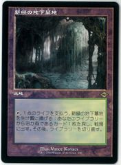 送料込み/匿名配送》新緑の地下墓地 440 - メルカリ