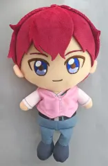 アイカツ！ 瀬名翼 Chibiぬいぐるみ 中古】ぬいぐるみ 瀬名翼 Chibiぬいぐるみ メンカツ!ver. 「アイカツ