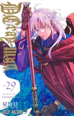 D.Gray-man 29 (ジャンプコミックス)／星野 桂