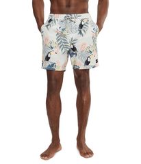 Hurley Men's Swimwear Half Pants/Shorts Hurley Cannonballined Volley 17 Bone