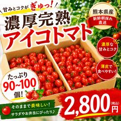 熊本県産 ミニトマト アイコ 2kg 朝採れ - メルカリ