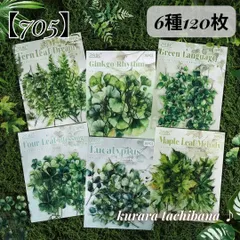【705】葉っぱ 植物 フレークシール PET コラージュ素材 ステッカー ボタニカル リーフ 緑 グリーン アンティーク ジャンクジャーナル スクラップブッキング デコレーション 装飾 手帳 アルバム 日記 6種120枚