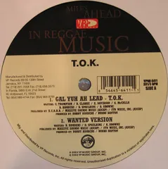 12” T.O.K. Gal You Ah Lead VPRD6411 VP Records /00250