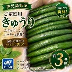食品 クール便 3キロ
