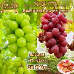 朝採れ 贈答品質 マイハート、ナガノパープル （1kg以上）美味しい葡萄