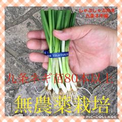 農薬不使用 訳あり梅 1kg 岡山県産 採れたて発送 - メルカリ