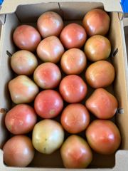 山形県産　大粒ハート人気　紅きらり　１キロ　早朝収穫　　 農家直送 山形県産 大粒ハート人気 紅きらり 秀品 1キロ 早朝収穫 農家直送