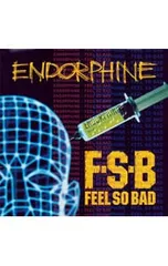 CD／FEEL SO BAD／エンドルフィン