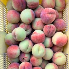硬い桃 5kg クール便発送 送料無料 - メルカリ