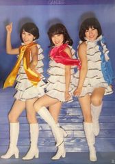 Candies キャンディーズ タワーレコード新宿店 ポスター - メルカリ
