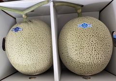 訳あり北海道 富良野メロン赤肉 6〜8玉✖︎2箱有機肥料 超減農薬農家直送(31) 訳あり北海道 富良野メロン赤肉特大2.0kg〜2.9kg✖︎2玉有機肥料 (5