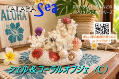 CD》SHOGUN COMPLETE（2枚組）SHOGUN ショーグン ベストアルバム