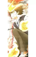 【中古】ポスター(アニメ) ツナ(死ぬ気/通常仕様) 「家庭教師ヒットマンREBORN! スティックポスターA Ver.ツナ」