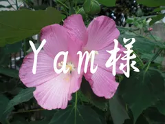 Yam様　専用ページ