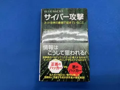 サイバｰ攻撃 中島明日香