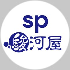 中古】同人音楽CDソフト REVERSUS / ELECTROCUTICA - メルカリ
