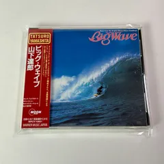 2026年最新】big wave dvdの人気アイテム - メルカリ