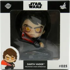 HOTTOYS COSBI!/スター.ウォーズ.コレクション STARWARS DARTH VADER(PALPATINE'S NEW APPRENTICE) 025