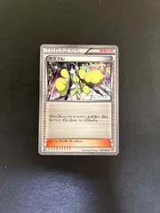カミツレ　SC  シャイニーコレクション