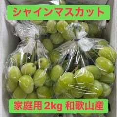9月12日朝採り午前発送 長野産シャインマスカット約2kg - メルカリ