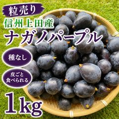 粒売り)信州上田産ナガノパープル 約2kg ナガノパープル （2kg/3～5房