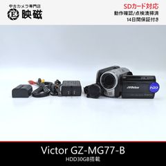SONY ソニー DCR-PC10 本体のみ ハンディカム miniDVビデオカメラ 整備