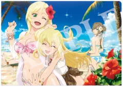 【中古】クリアファイル ミリーナ＆コレット＆ティア 「esシリーズ トレーディングミディアムA5ファイル テイルズ オブ ザ レイズ」