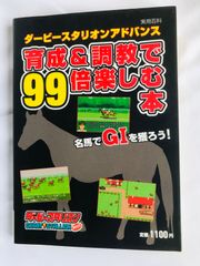 ウィザードリィ ディンギル 公式ガイドブック 迷宮聖典 帯 攻略本 PS