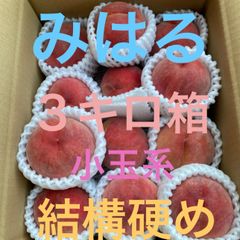 減農薬栽培ゆーこプロフ必読 - メルカリShops