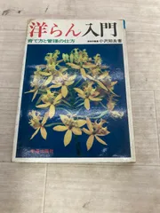 洋らん入門 育て方と管理の仕方 新星出版社 昭和４９年発行