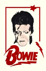 Clothing T-shirt - David Bowie Aladdin Frame L BWE0105MGTL US T-SHIRT /00180